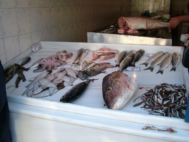 Řecko, jachta 2008 > obr (521)